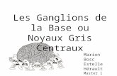 Les Ganglions de la Base ou Noyaux Gris Centraux Marion Bosc Estelle Hérault Master 1 2010.