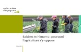 31 janvier Salaires minimums : pourquoi lagriculture sy oppose.