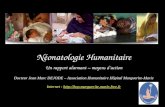Néonatologie Humanitaire Un rapport alarmant – moyens daction Docteur Jean Marc DEJODE – Association Humanitaire Hôpital Marguerite-Marie Internet : .
