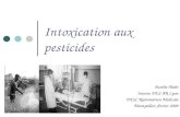 Intoxication aux pesticides Aurélie Mahr Interne DES AR Lyon DESC Réanimation Médicale Montpellier, février 2009.