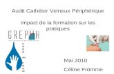 Audit Cathéter Veineux Périphérique Impact de la formation sur les pratiques Mai 2010 Céline Frömme.