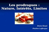 Les prodrogues : Nature, Intérêts, Limites Diane Rouet Pauline Lafforgue.