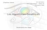 Les Algorithmes Génétiques Charline Voinot Soutenance de Stage IUT de Reims DUT Informatique – Option IN Promotion 2006.