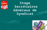 1 Stage Secrétaires Généraux de Syndicat. 2 Problématique du thème Dans un contexte socio-économique en mouvement permanent,Dans un contexte socio-économique.