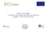 Projet 3 C-IVOIRE Formation aux outils de veille sur internet Abidjan – 24 & 25 Avril 2012.