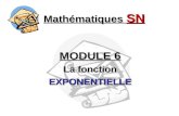 Mathématiques SN MODULE 6 La fonction EXPONENTIELLE.