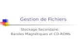 Gestion de Fichiers Stockage Secondaire: Bandes Magnétiques et CD-ROMs.