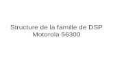 Structure de la famille de DSP Motorola 56300. Bus dadresse.