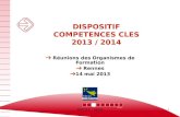 DEFTLV - SPAQ1 DISPOSITIF COMPETENCES CLES 2013 / 2014 Réunions des Organismes de Formation Rennes 14 mai 2013.