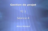 Gestion de projet - TC1 Gestion de projet TC 1 Séance 4 Mme Molard Gestion de projet TC 1 Séance 4 Mme Molard.
