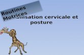 Stabilisation cervicale et posture Routines Motrices.