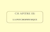 CHAPITRE III: LA PSYCHOPHYSIQUE. CHAPITRE I: Le domaine de la perception CHAPITRE II: La psychophysique CHAPITRE V: L attention CHAPITRE III: La perception.