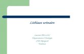 Lithiase urinaire Laurent BELLEC Département dUrologie CHU Rangueil Toulouse.