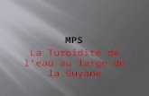La Turbidité de leau au large de la Guyane. Introduction Problématique Expérience 1 Expérience 2.