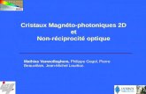 Mathias Vanwolleghem, Philippe Gogol, Pierre Beauvillain, Jean-Michel Lourtioz. Cristaux Magnéto-photoniques 2D et Non-réciprocité optique.