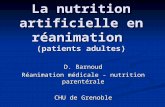 La nutrition artificielle en réanimation (patients adultes) D. Barnoud Réanimation médicale - nutrition parentérale CHU de Grenoble.
