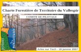 Arles sur Tech - 19 janvier 2007 Charte Forestière de Territoire du Vallespir COMITE DE PILOTAGE.