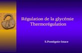 Régulation de la glycémie Thermorégulation S.Pontégnie-Istace.