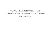 FONCTIONNEMENT DE LAPPAREIL REPRODUCTEUR FEMININ.