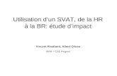 Utilisation dun SVAT, de la HR à la BR: étude dimpact Vincent Rivalland, Albert Olioso INRA – CSE Avignon.