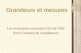 Grandeurs et mesures Les évaluations nationales CE1 & CM2 Socle Commun & compétences.