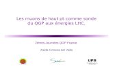 Les muons de haut pt comme sonde du QGP aux énergies LHC. 2èmes Journées QGP France Zaida Conesa del Valle.