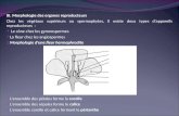 III. Morphologie des organes reproducteurs Chez les végétaux supérieurs ou spermaphytes, il existe deux types d'appareils reproducteurs : Le cône chez.