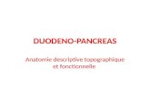 DUODENO-PANCREAS Anatomie descriptive topographique et fonctionnelle.