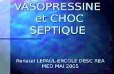 VASOPRESSINE et CHOC SEPTIQUE Renaud LEPAUL-ERCOLE DESC REA MED MAI 2005.