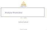 Analyse financière L3 – LEA Céline Gainet 1 Analyse Financière.