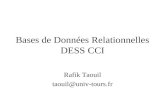 Bases de Données Relationnelles DESS CCI Rafik Taouil taouil@univ-tours.fr.