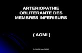 Dr CAILLERE cours IFSI 2010 ARTERIOPATHIE OBLITERANTE DES MEMBRES INFERIEURS ( AOMI ) ( AOMI )