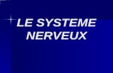 LE SYSTEME NERVEUX. Plan du cours Introduction. Introduction. Développement embryonnaire du système nerveux. Développement embryonnaire du système nerveux.