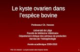 Prof. Ch. Hanzen – Le kyste ovarien dans lespèce bovine 1 Le kyste ovarien dans lespèce bovine Professeur Ch. Hanzen Université de Liège Faculté de Médecine.