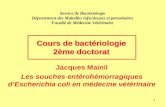 1 Service de Bactériologie Département des Maladies infectieuses et parasitaires Faculté de Médecine Vétérinaire Jacques Mainil Les souches entérohémorragiques.