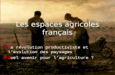 Les espaces agricoles français La révolution productiviste et lévolution des paysages Quel avenir pour lagriculture ?