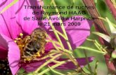 Transhumance de ruches de Raymond HAAG de Saint-Avold à Harprich le 21 mars 2009.