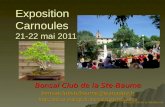 Bonsaï Club de la Ste-Baume bonsaiclubstebaume@wanadoo.fr  Exposition Carnoules 21-22 mai 2011.