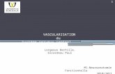 VASCULARISATION du Système nerveux central M1-Neuroanatomie Fonctionnelle 2010/2011 Lorgeoux Bertille, Girardeau Paul 1.
