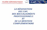 Rénovation de la filière de formation en Aéronautique 27-28 novembre 2013 LA RÉNOVATION DES CAP, DES BACCALAURÉATS PROFESSIONNELS ET DE LA MENTION COMPLÉMENTAIRE.
