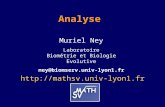 Analyse  Muriel Ney Laboratoire Biométrie et Biologie Evolutive ney@biomserv.univ-lyon1.fr.