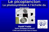 Le picoplancton La photosynthèse à léchelle du micron Daniel Vaulot Station Biologique de Roscoff CNRS and Université Paris 6, France.