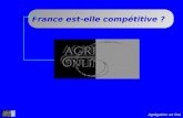 Agrégation on line La France est-elle compétitive ?