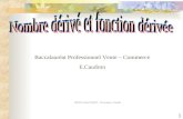 1 SOURCE :Gérard COQUET – LP Guynemer - Grenoble Baccalauréat Professionnel Vente – Commerce E.Caudron.