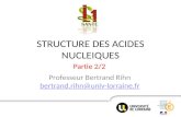STRUCTURE DES ACIDES NUCLEIQUES Professeur Bertrand Rihn bertrand.rihn@univ-lorraine.fr bertrand.rihn@univ-lorraine.fr Partie 2/2.
