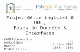 Projet Génie Logiciel & UML, Bases de Données & Interfaces CAMPAN Amandine DUMOUSSEAU Marine PIHAN Emilie GB5 Option BIMB 2008 - 2009.