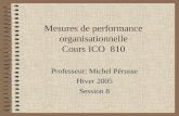 Mesures de performance organisationnelle Cours ICO 810 Professeur: Michel Pérusse Hiver 2005 Session 8.
