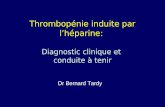 Diagnostic clinique et conduite à tenir Thrombopénie induite par lhéparine: Diagnostic clinique et conduite à tenir Dr Bernard Tardy.
