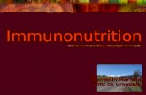Immunonutrition Gardellin Marianne CHU de Grenoble CHU de Grenoble.