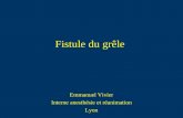 Fistule du grêle Emmanuel Vivier Interne anesthésie et réanimation Lyon.